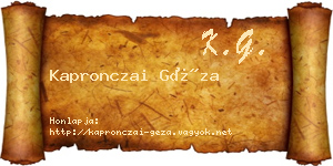 Kapronczai Géza névjegykártya